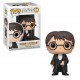 Figurine Pop HARRY POTTER - Harry Potter Yule Ball