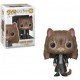 Figurine Pop HARRY POTTER - Hermione As Cat