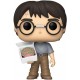 Figurine Pop HARRY POTTER - Harry Potter w/The Stone