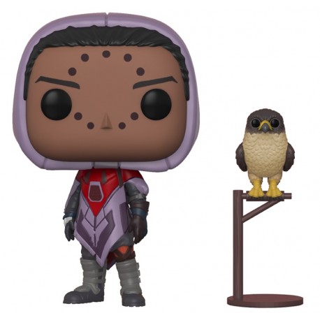 Figurine Pop DESTINY - Hawthorne With Hawk