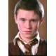 Baguette -HARRY POTTER- Seamus Finnigan