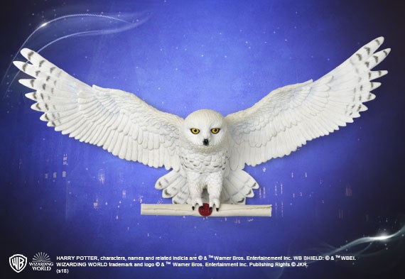 Hedwig : le harfang de Fort Murray qui attire les fans de Harry Potter